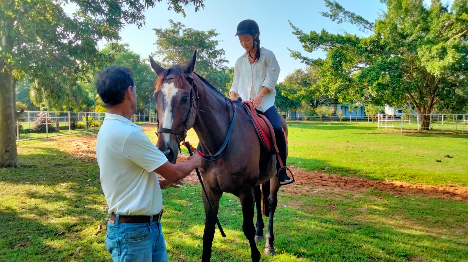 Wintry Mountain Landscape